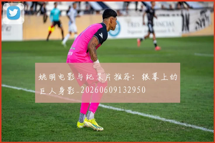 姚明电影与纪录片推荐：银幕上的巨人身影_20260609132950